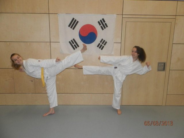 Taekwondo Training